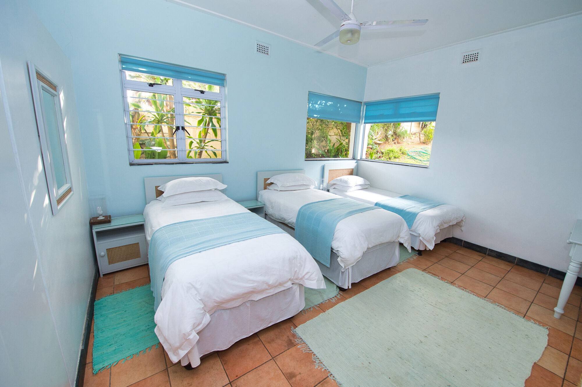 This is a room with one sky blue wall, and the remaining 3 white walls. There is a ceiling fan and three single beds. All three beds consisting of white linen and a turquoise throw-over